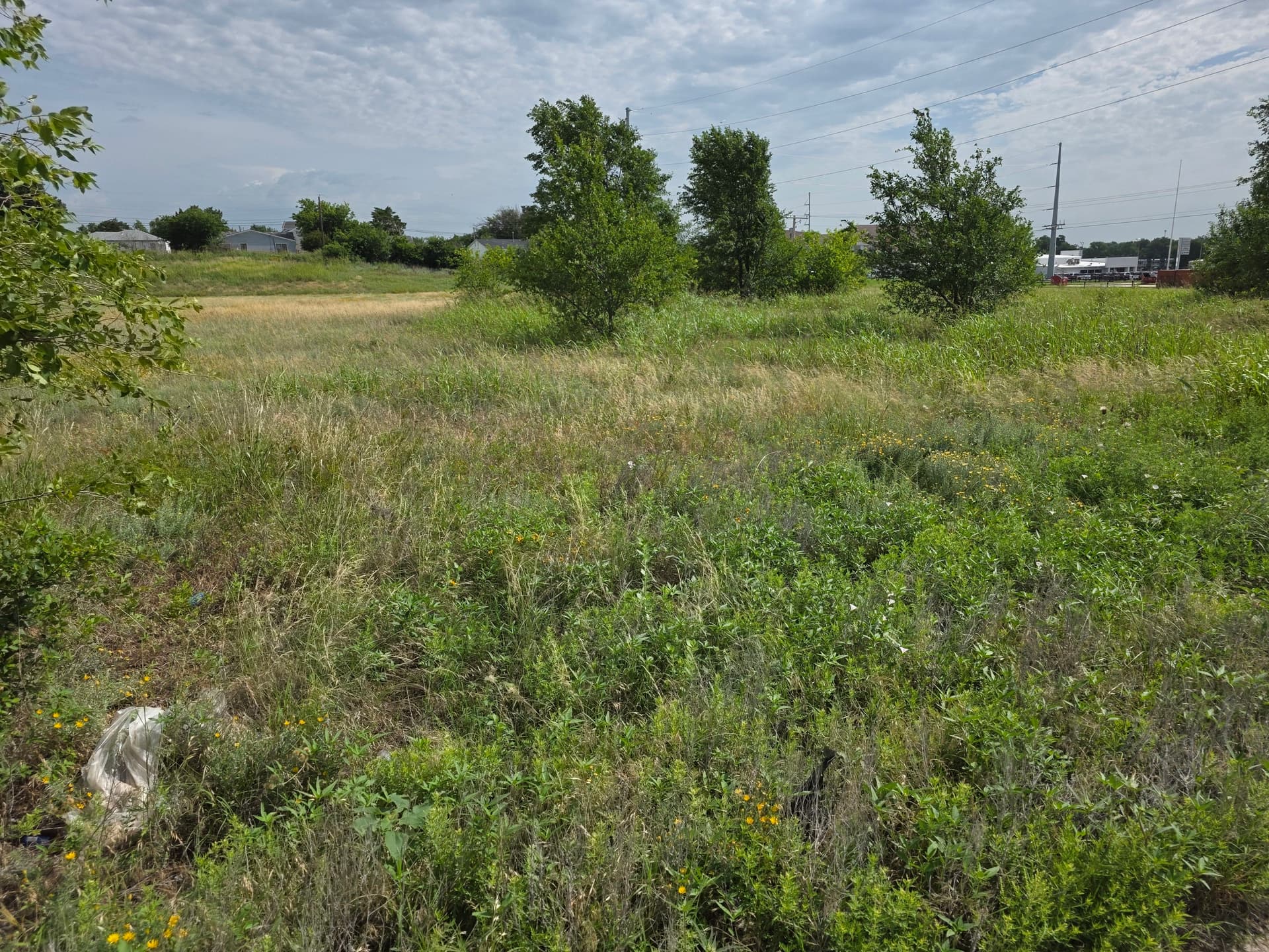 Gallery photos for Overgrown Field Lot Cleaned Up With Brush Hogging: Image #1