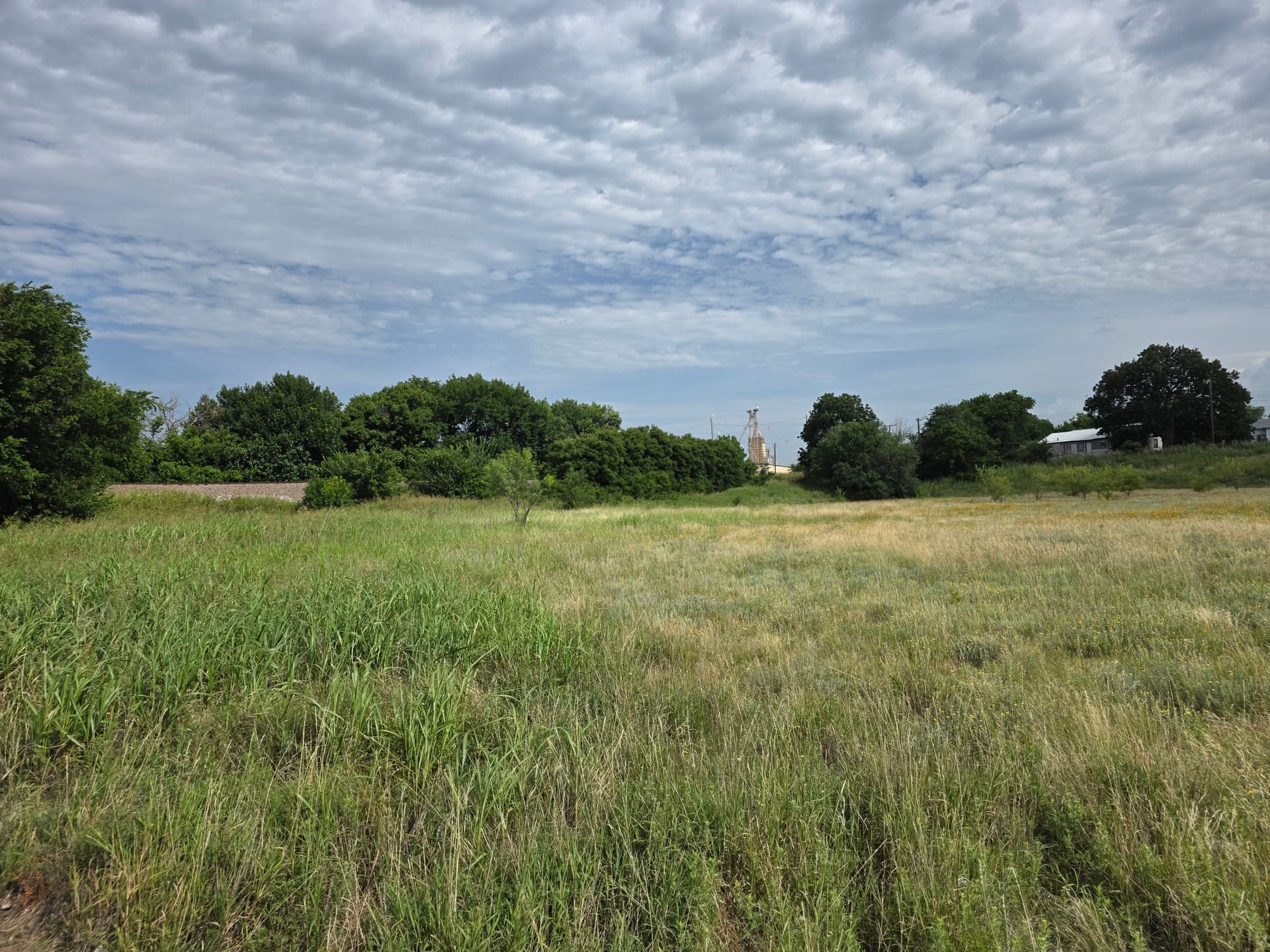 Overgrown Field Lot Cleaned Up With Brush Hogging image