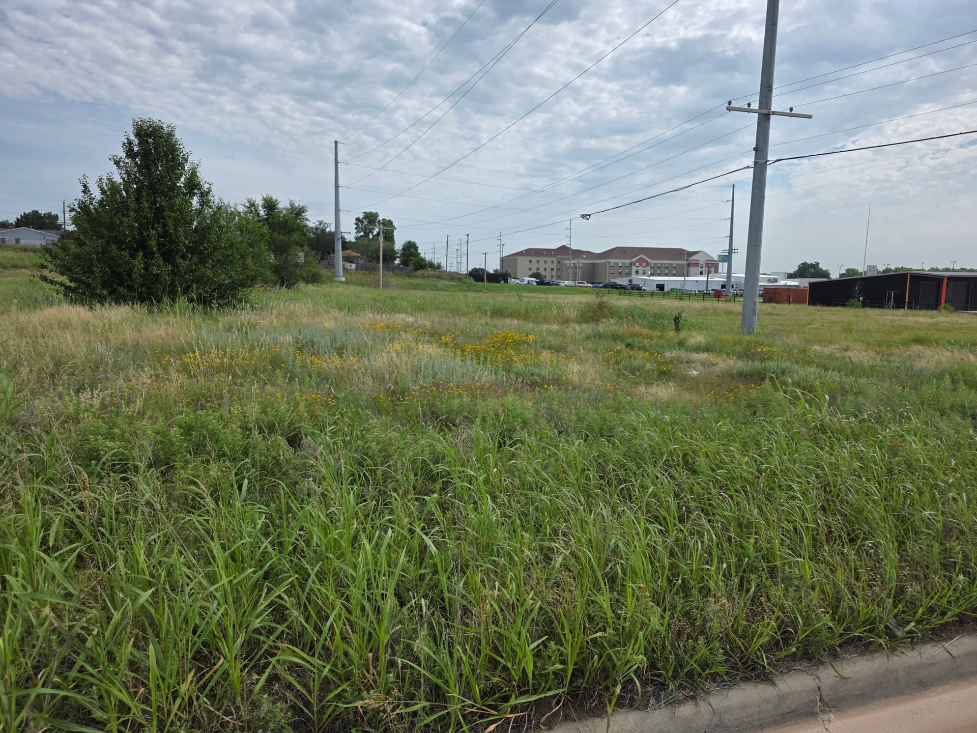 Gallery photos for Overgrown Field Lot Cleaned Up With Brush Hogging: Image #3