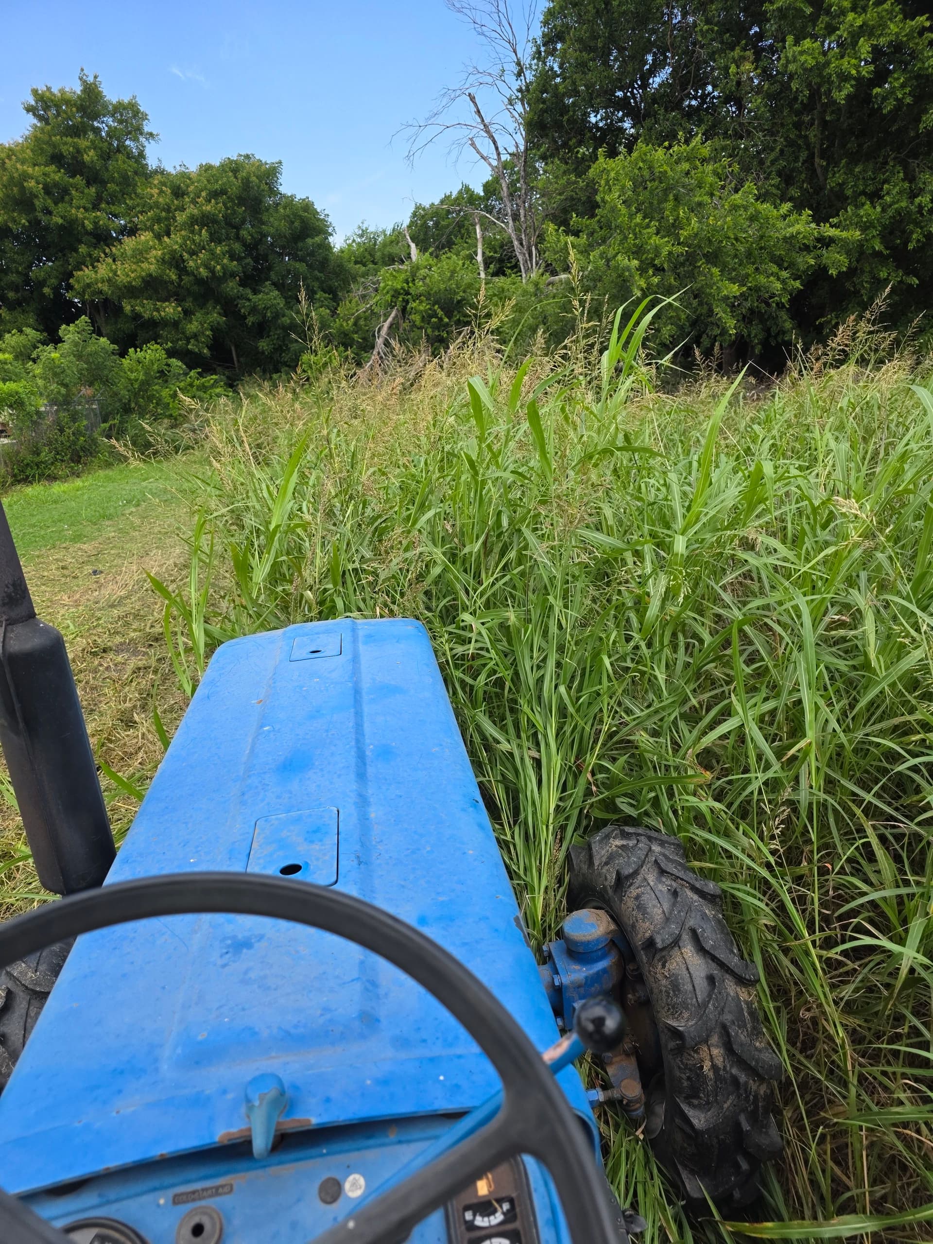 Gallery photos for Overgrown Field Lot Cleaned Up With Brush Hogging: Image #4