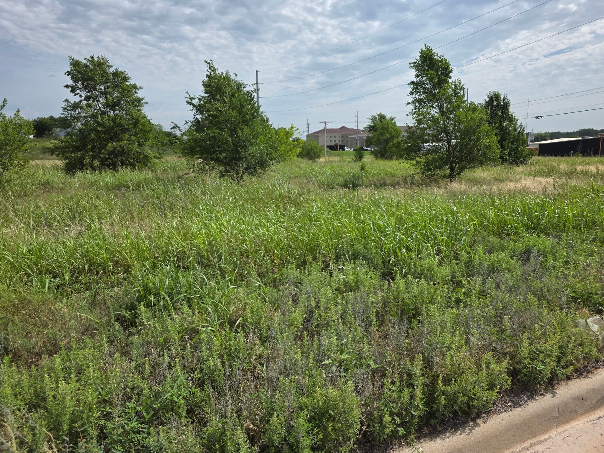 Gallery photos for Overgrown Field Lot Cleaned Up With Brush Hogging: Image #2