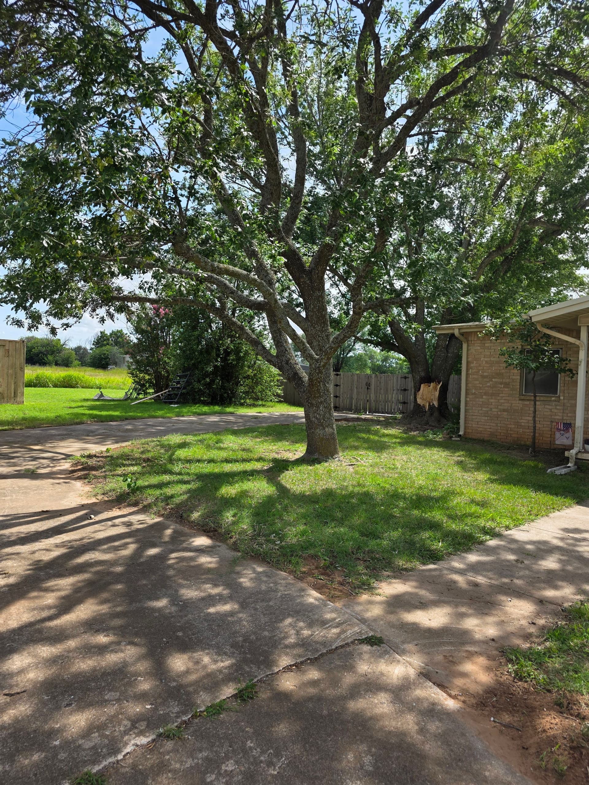 Gallery photos for Storm Damage Cleanup and Full Fence Removal Done Right: Image #2